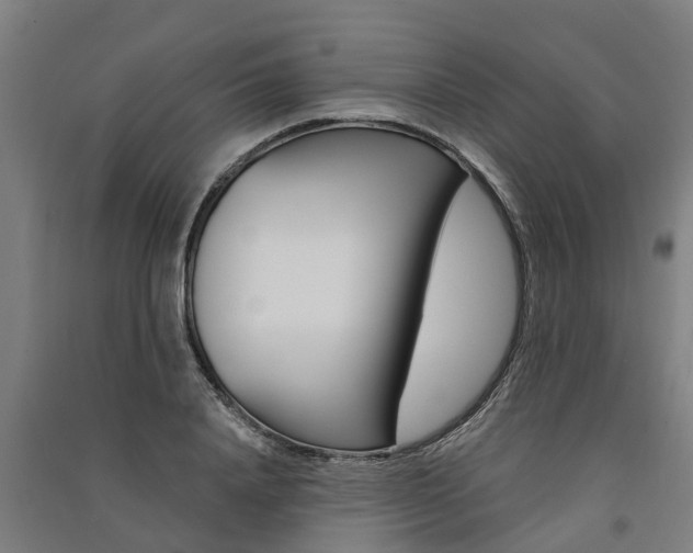 X0000091580840200708201012