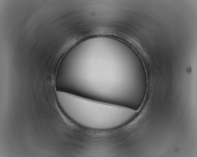 X0000091580841200708201012