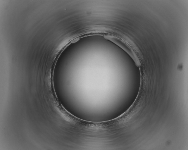 X0000091580842200708201012