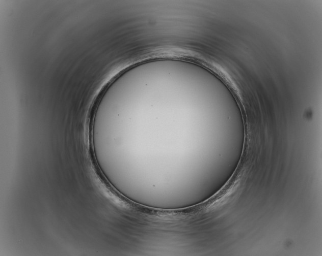 X0000091580843200708201012