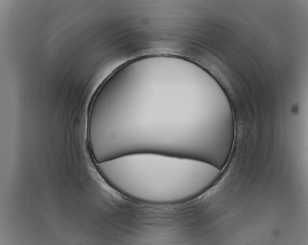 X0000091580844200708201012