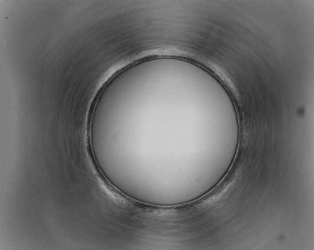 X0000091580845200708201012