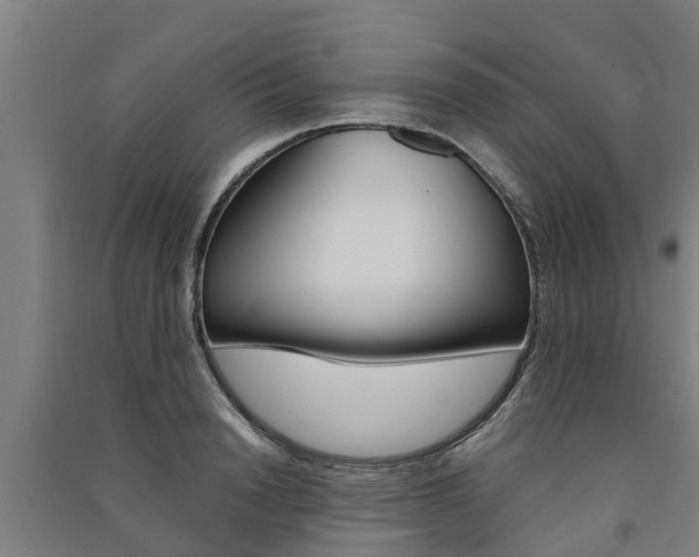 X0000091580846200708201012