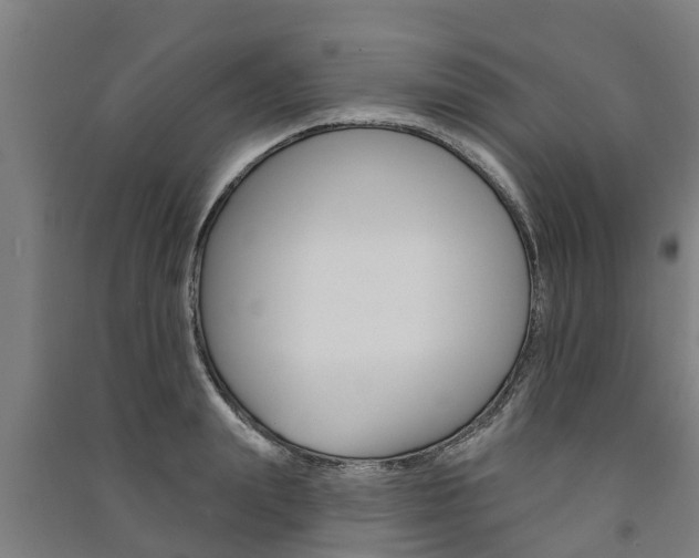 X0000091580847200708201012
