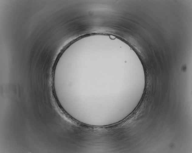 X0000091580848200708201012