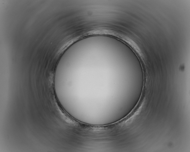 X0000091580849200708201012