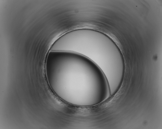X0000091580850200708201012