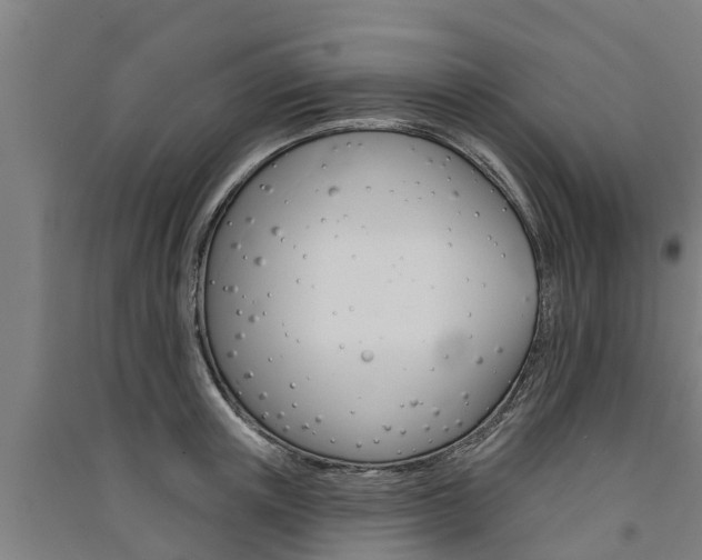 X0000091580851200708201012