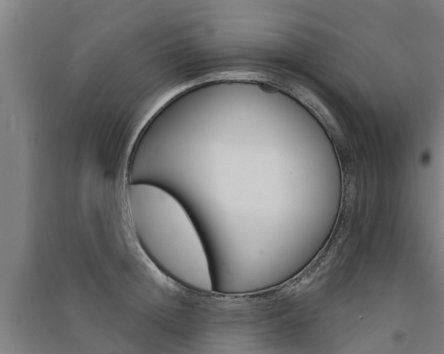 X0000091580852200708201012
