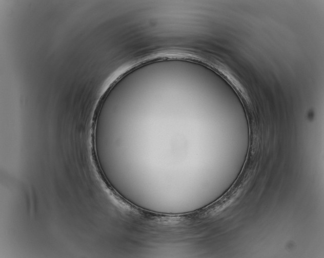 X0000091580853200708201012