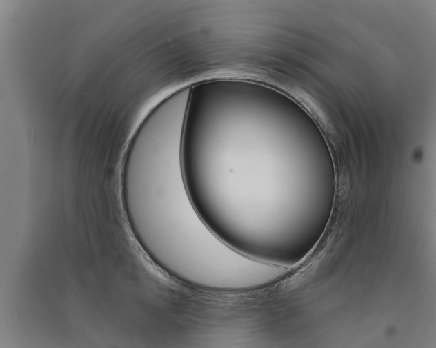 X0000091580854200708201012
