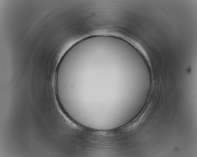 X0000091580855200708201012