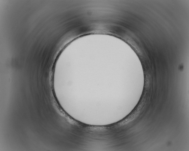 X0000091580856200708201012
