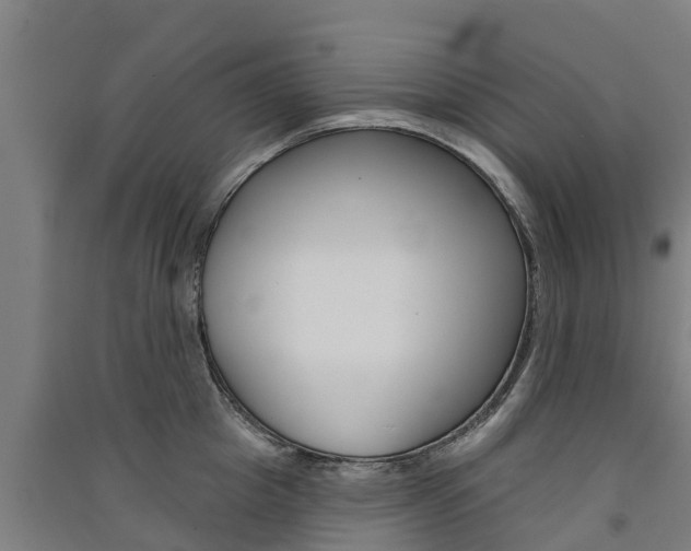 X0000091580857200708201012