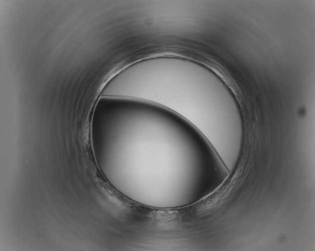 X0000091580858200708201012