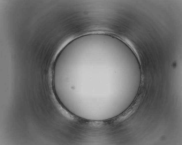 X0000091580859200708201012
