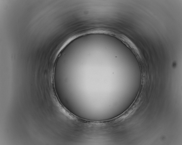 X0000091580860200708201012