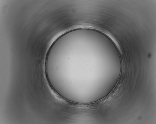 X0000091580861200708201012