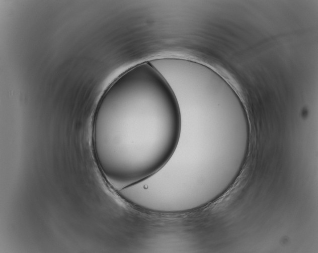 X0000091580862200708201012