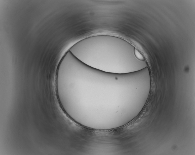 X0000091580863200708201012