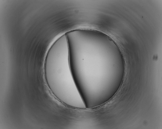X0000091580864200708201012