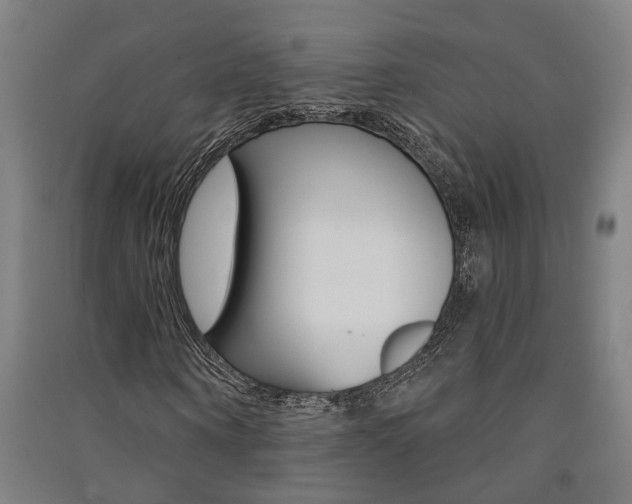 X0000091580866200708201011
