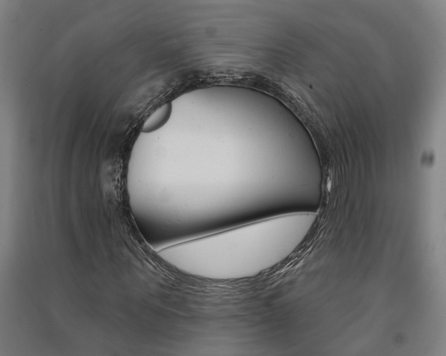 X0000091580867200708201011