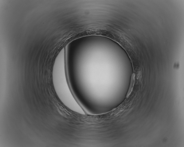 X0000091580868200708201011