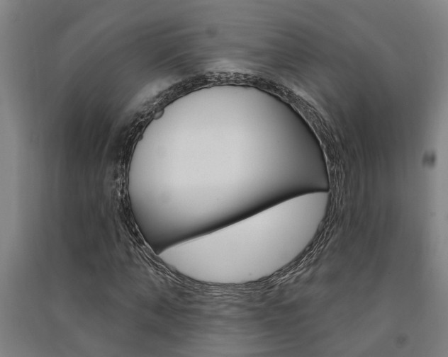 X0000091580870200708201011