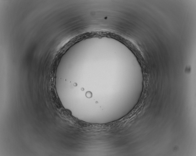 X0000091580871200708201011