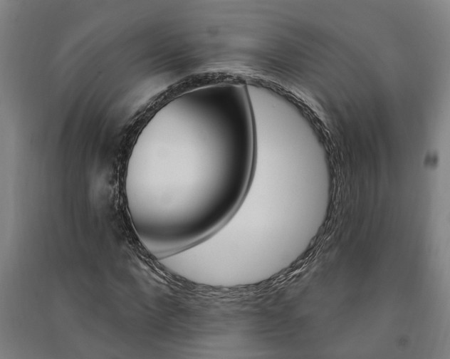 X0000091580872200708201011