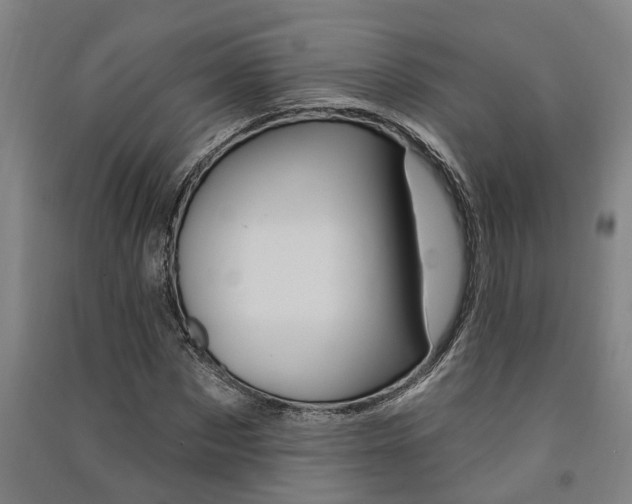 X0000091580873200708201011