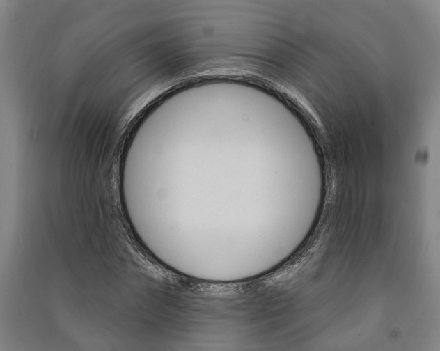 X0000091580874200708201011