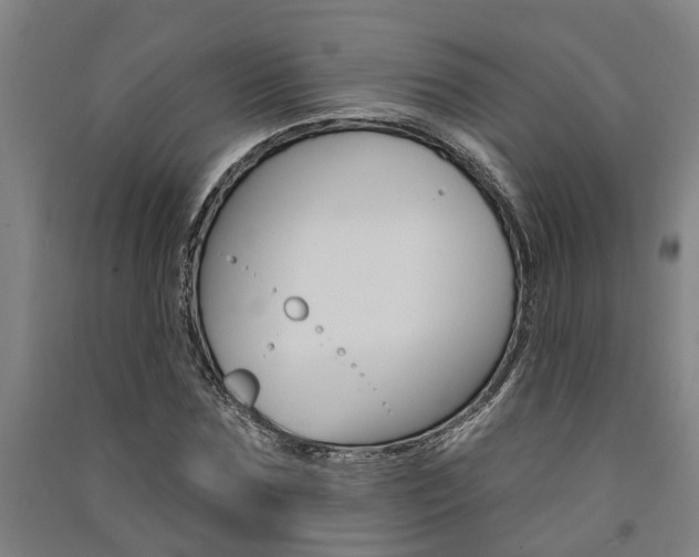 X0000091580875200708201011