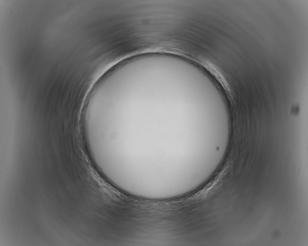X0000091580876200708201011