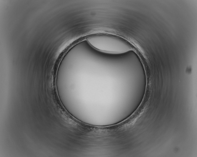 X0000091580877200708201011