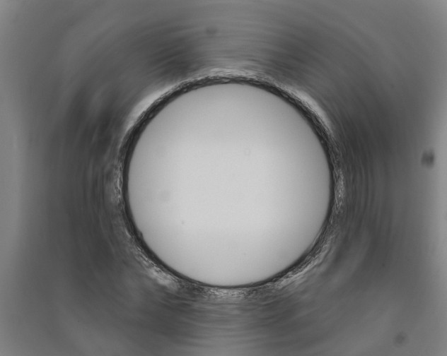 X0000091580878200708201011