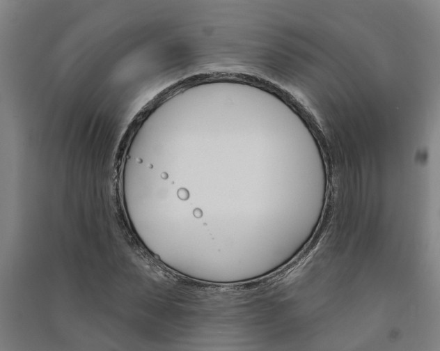 X0000091580879200708201011