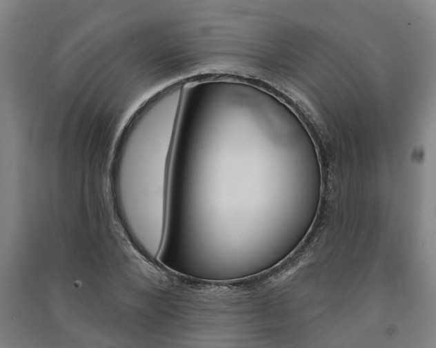 X0000091580880200708201011