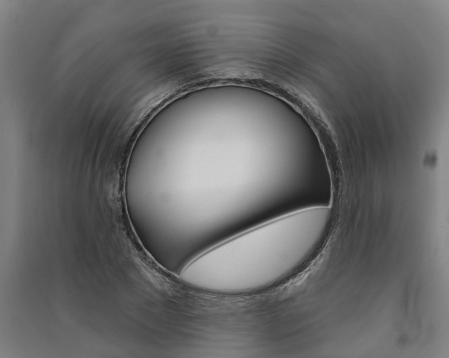 X0000091580881200708201011