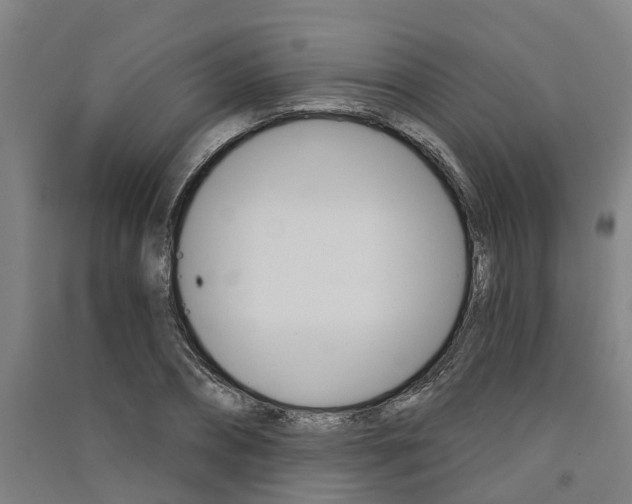 X0000091580882200708201011