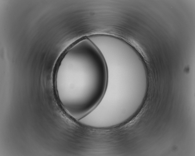 X0000091580884200708201011