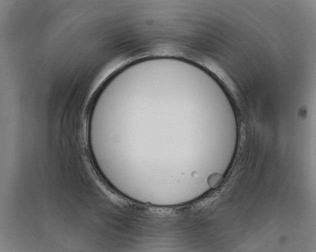 X0000091580886200708201011