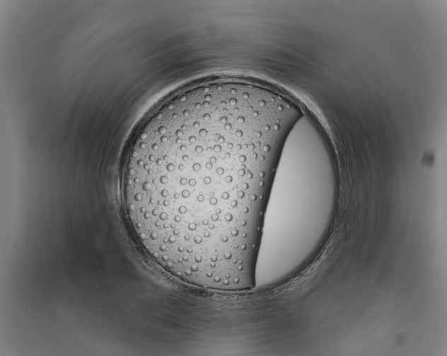X0000091580887200708201011