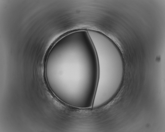 X0000091580888200708201011