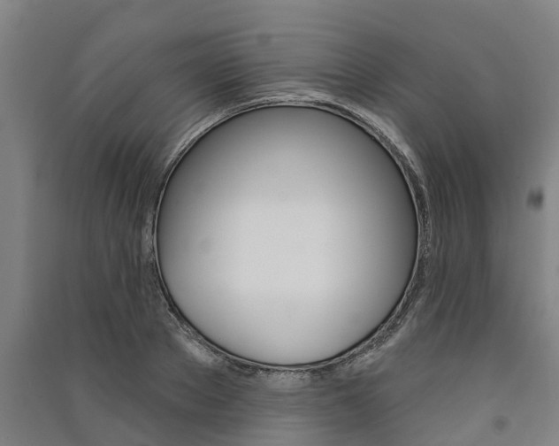 X0000091580889200708201011