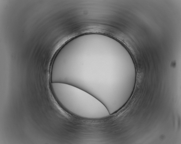X0000091580890200708201011
