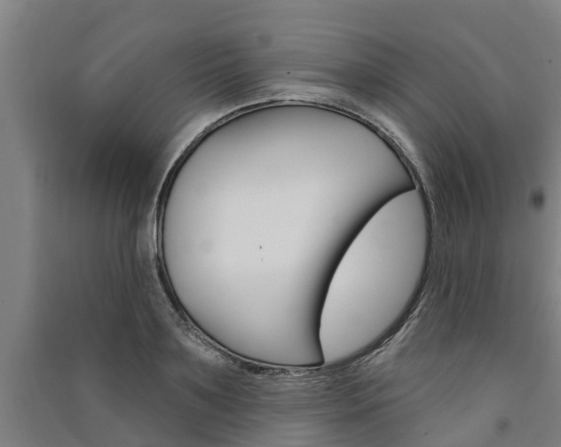 X0000091580891200708201011