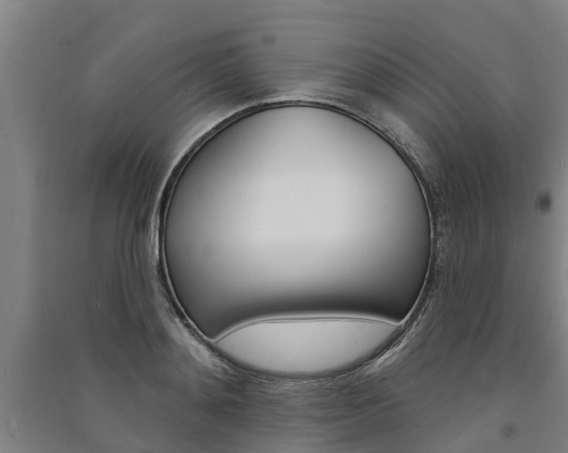 X0000091580892200708201011