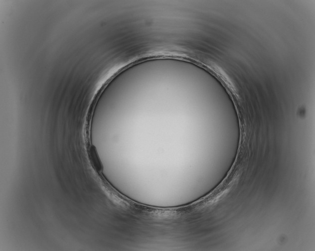 X0000091580893200708201011